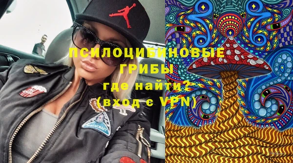 прущие грибы Гусь-Хрустальный