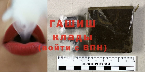 прущие грибы Гусь-Хрустальный