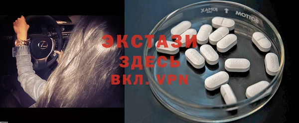 прущие грибы Гусь-Хрустальный