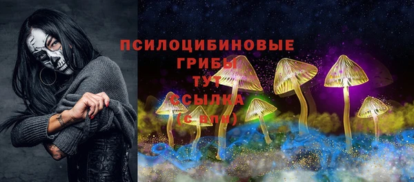 меф Гусев