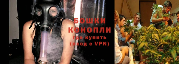 тгк Горнозаводск